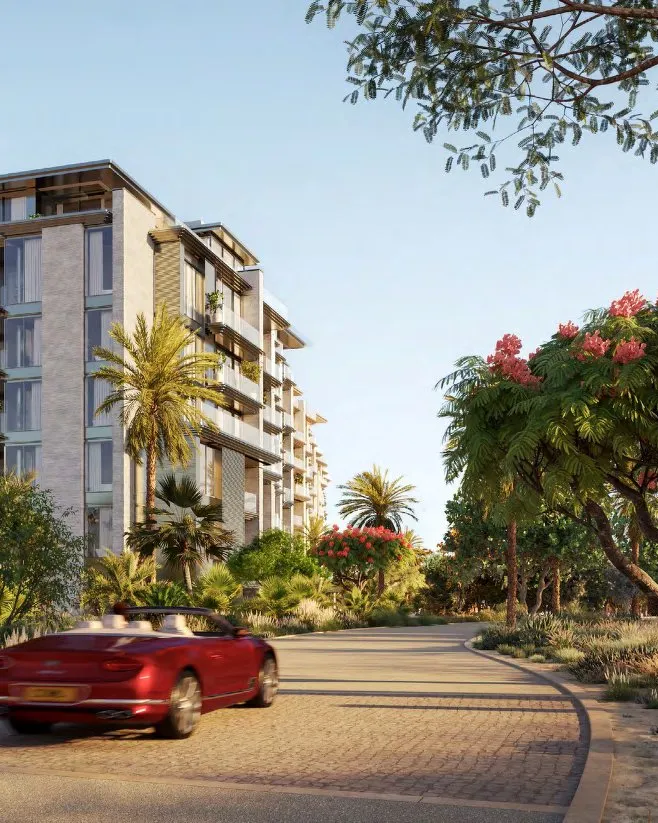 Solaya building seen from a palm-lined driveway with flowering trees